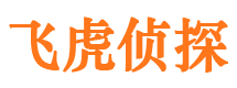 青阳市调查公司